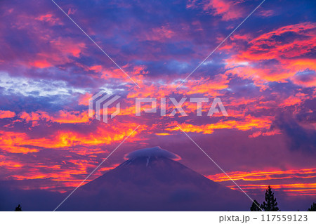 【静岡県】乙女森林公園から眺める、爆焼けの夕暮れ富士 117559123