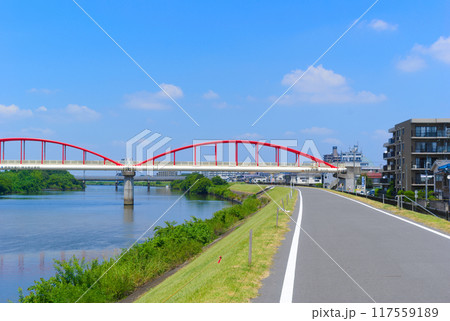 埼玉県吉川市新中川水管橋周辺2024年8月 埼玉県吉川市新中川水管橋周辺2024年8月 117559189