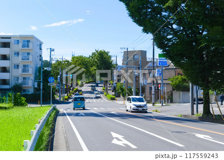 千葉県松戸市けやき通り2024年8月 千葉県松戸市けやき通り2024年8月 117559243