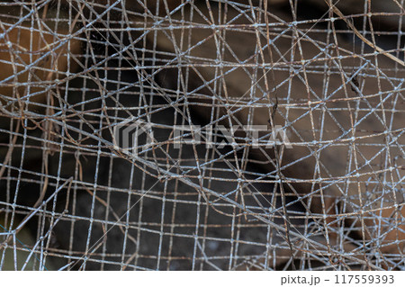 Rusty and worn Steel Grid fence background texture Rusty and worn Steel Grid fence background texture 117559393