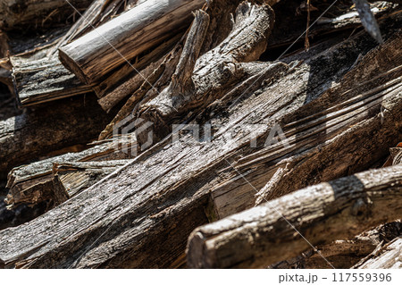 Background texture of old weathered bark Background texture of old weathered bark 117559396