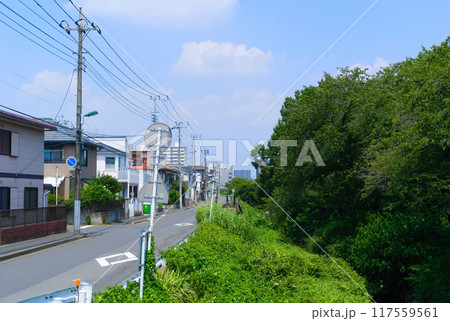 千葉県松戸市新坂川通り2024年8月 千葉県松戸市新坂川通り2024年8月 117559561