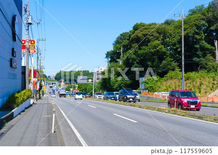 千葉県柏市国道16号線沿線2024年8月 千葉県柏市国道16号線沿線2024年8月 117559605