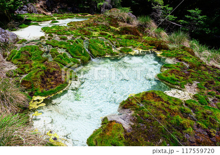 唐沢鉱泉の源泉 117559720
