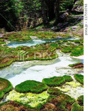 唐沢鉱泉の源泉 117559748
