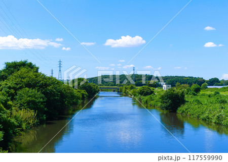 千葉県柏市大津川2024年8月 117559990