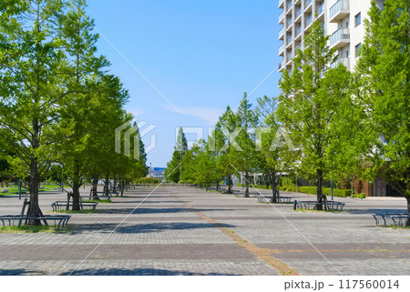 埼玉県越谷市越谷レイクタウン駅周辺2024年8月 117560014