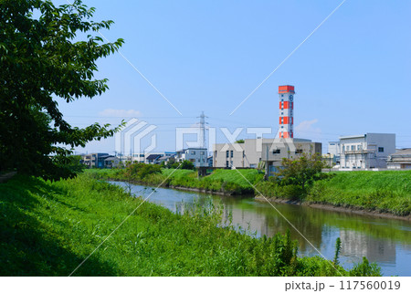 埼玉県草加市綾瀬川2024年8月 117560019