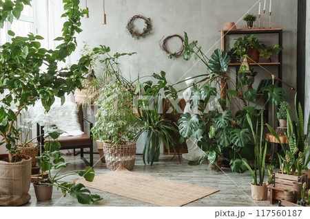 A fragment of the interior with a variety of indoor plants and plaster sculptures. Urban jungle concept. Biophilia design. A fragment of the interior with a variety of indoor plants and plaster sculptures. Urban jungle concept. Biophilia design. 117560187