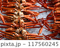 魚市場に並ぶ紅ズワイガニ 117560245