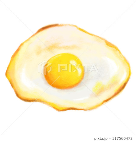 Fried egg isolated illustration, hand drawn cooked egg Fried egg isolated illustration, hand drawn cooked egg 117560472