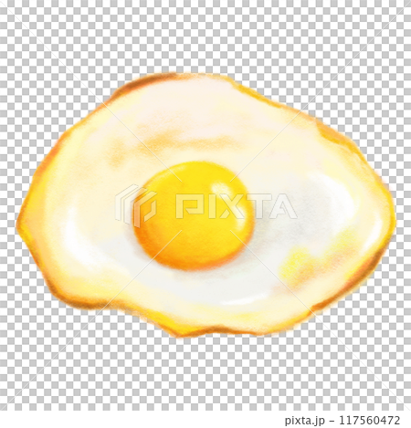 Fried egg isolated illustration, hand drawn cooked egg Fried egg isolated illustration, hand drawn cooked egg 117560472