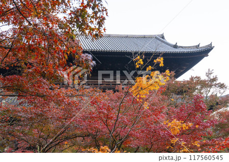 秋の京都　南禅寺　紅葉に包まれた三門 117560545