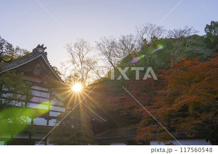 秋の京都　南禅寺本坊庫裡　紅葉と朝日 117560548