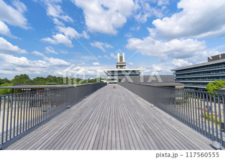 奈良公園バスターミナル屋上庭園 117560555