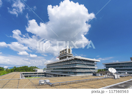 奈良公園バスターミナル屋上庭園 117560563