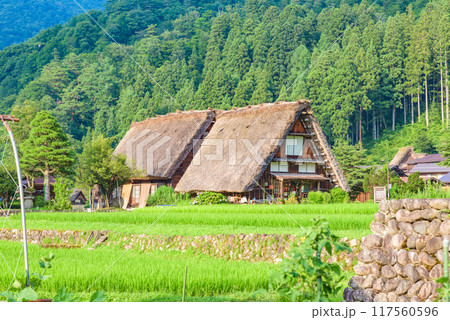 世界遺産「白川郷・五箇山の合掌造り集落」 白川村荻町(重伝建) 世界遺産「白川郷・五箇山の合掌造り集落」 白川村荻町(重伝建) 117560596