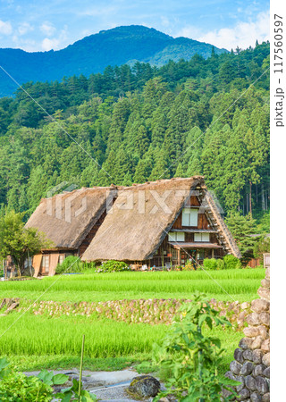 世界遺産「白川郷・五箇山の合掌造り集落」 白川村荻町(重伝建) 世界遺産「白川郷・五箇山の合掌造り集落」 白川村荻町(重伝建) 117560597