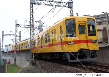 ［TS］東武大師線8000系電車（リバイバル塗装-黄色） 117560652