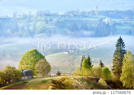 Serene countryside morning with mist rolling over gentle hills. Sunlight filters through, highlighting cozy farmhouse surrounded by lush trees. Scattered homes and winding paths, mist-covered valleys. Serene countryside morning with mist rolling over gentle hills. Sunlight filters through, highlighting cozy farmhouse surrounded by lush trees. Scattered homes and winding paths, mist-covered valleys. 117560678