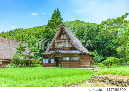 世界遺産「白川郷・五箇山の合掌造り集落」　南砺市菅沼（重伝建）　越中五箇山菅沼集落（史跡） 117560800