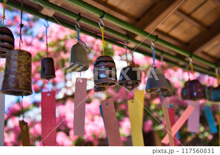 風鈴と百日紅がきれいな夏の越前陶芸村 風鈴と百日紅がきれいな夏の越前陶芸村 117560831