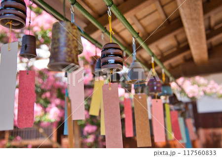 風鈴と百日紅がきれいな夏の越前陶芸村 風鈴と百日紅がきれいな夏の越前陶芸村 117560833
