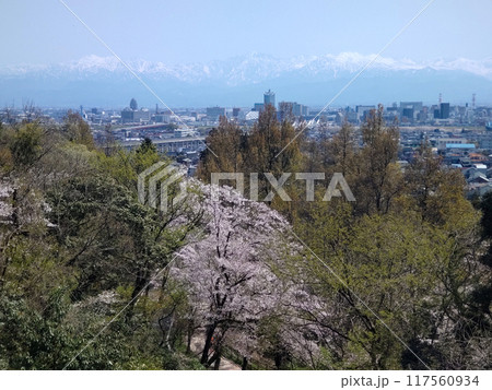 桜咲く呉羽山展望台から春がすみのら富山市街地と剣・立山連峰北アルプス 桜咲く呉羽山展望台から春がすみのら富山市街地と剣・立山連峰北アルプス 117560934