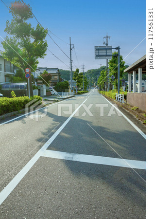 市街地の道路 市街地の道路 117561331