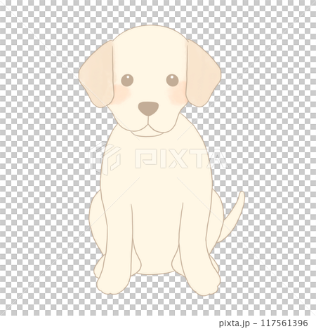 拉布拉多獵犬坐 117561396