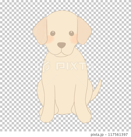 拉布拉多獵犬坐 拉布拉多獵犬坐 117561397