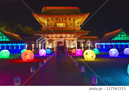 ライトアップされた夜の瑞龍寺山門 ライトアップされた夜の瑞龍寺山門 117561515