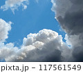 発達する積乱雲 117561549
