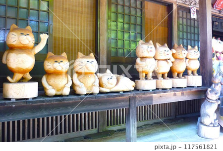 山口県萩市にある雲林寺・ねこ寺 117561821