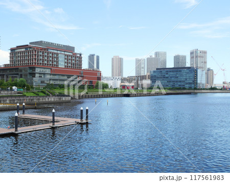 豊洲ぐるり公園から見る東京景観 117561983