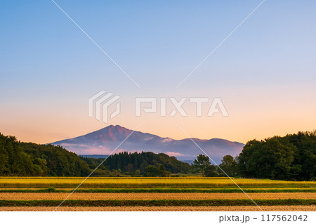 夕暮れの鳥海山 117562042