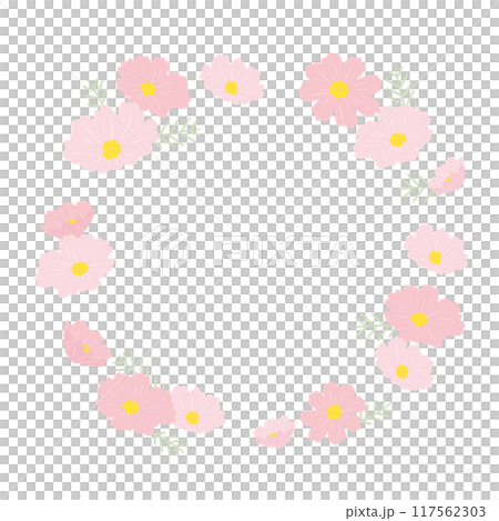 Stylish frame material with illustrations of cosmos 117562303