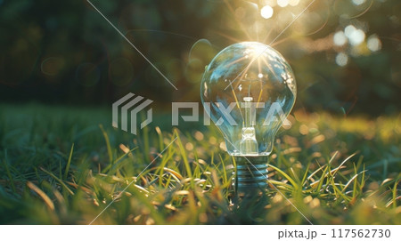 Transparent bulb standing on green grass symbolizing the advent of a new era of innovation or ideas 117562730