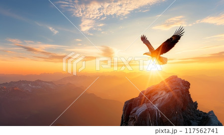 Majestic bald eagle soaring the sky above high rocky mountain in the evening or morning Majestic bald eagle soaring the sky above high rocky mountain in the evening or morning 117562741