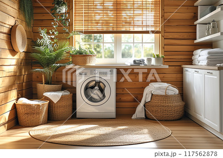 Small cozy room with a white washer and dryer, a rug, and a few potted plants 117562878