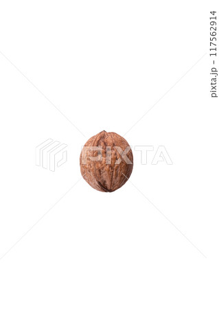 A Single Walnut on a Clean White Background A Naturally Healthy Snack Choice for Everyone 117562914