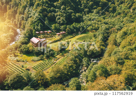 Aerial view reveals a green valley with Villa vineyards by a river, creating a picturesque landscape 117562919