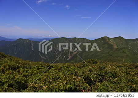 朝日連峰 117562953