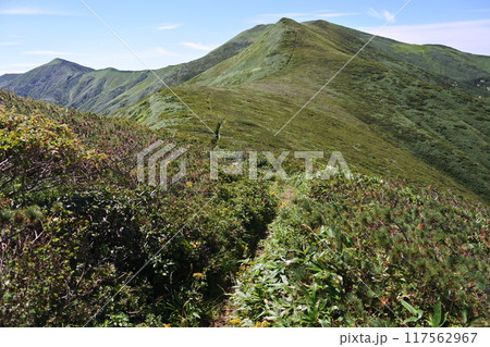 朝日連峰 朝日連峰 117562967