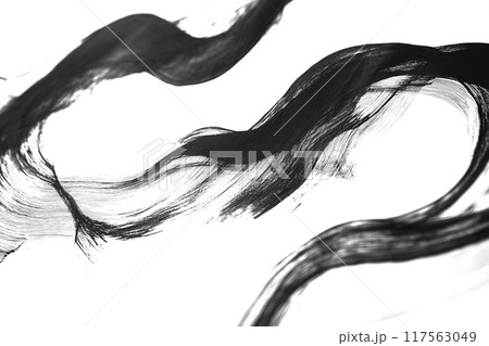 和風ブラシアート 和風ブラシアート 117563049