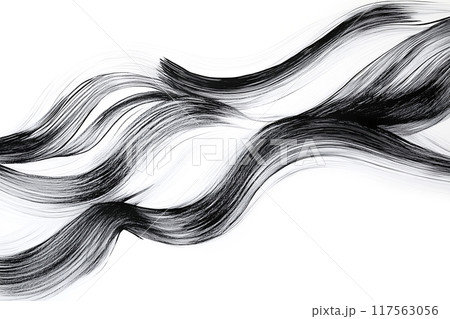 和風ブラシアート 117563056