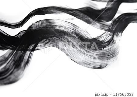 和風ブラシアート 117563058