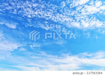 秋の青空と雲 秋の青空と雲 117563364