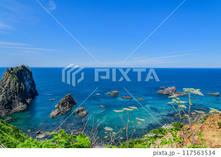 北海道 積丹半 島武意(しまむい)海岸 北海道 積丹半 島武意(しまむい)海岸 117563534