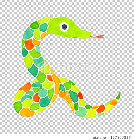 カラフルな蛇 かわいい・ゆるい動物の手描き水彩イラスト素材 カラフルな蛇 かわいい・ゆるい動物の手描き水彩イラスト素材 117563837